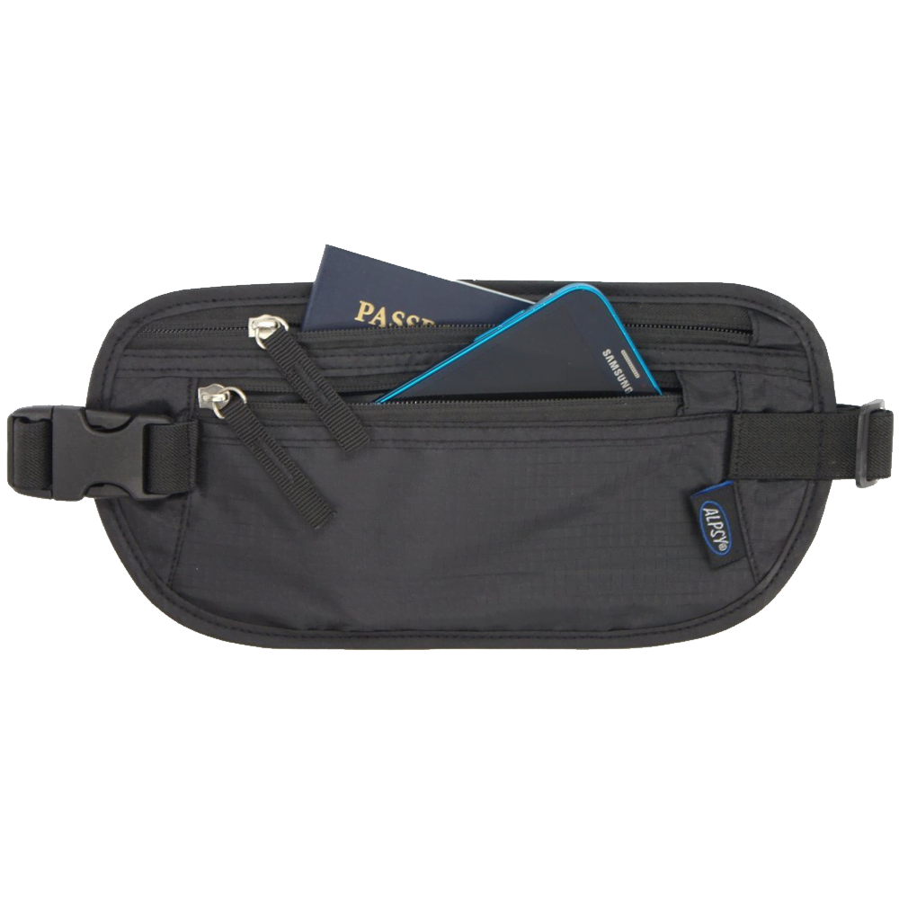 Money belt pouch online